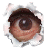 Avatar użytkownika