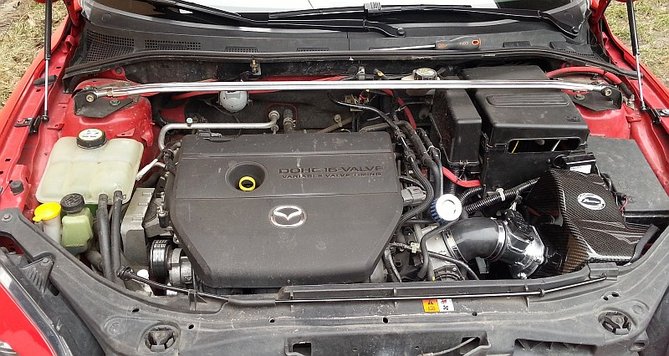 20130308_120335.jpg
