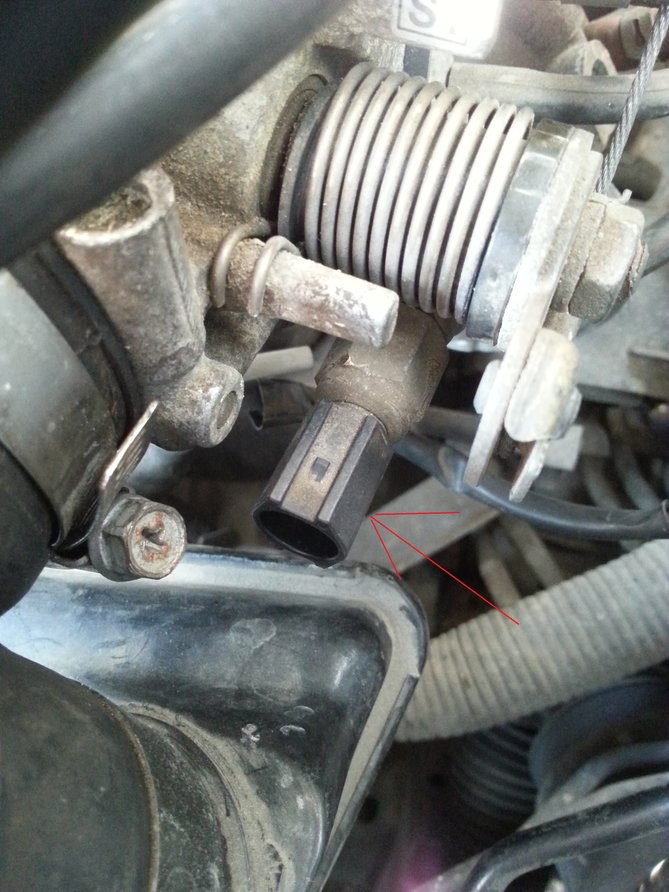 20160317_115340.jpg