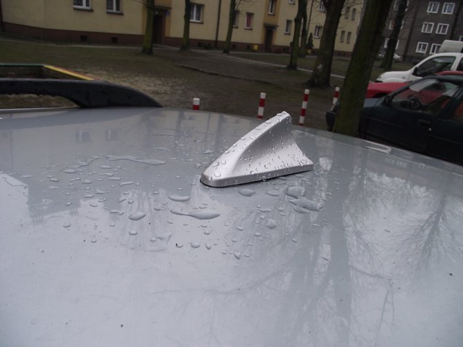 DSCF36590.jpg