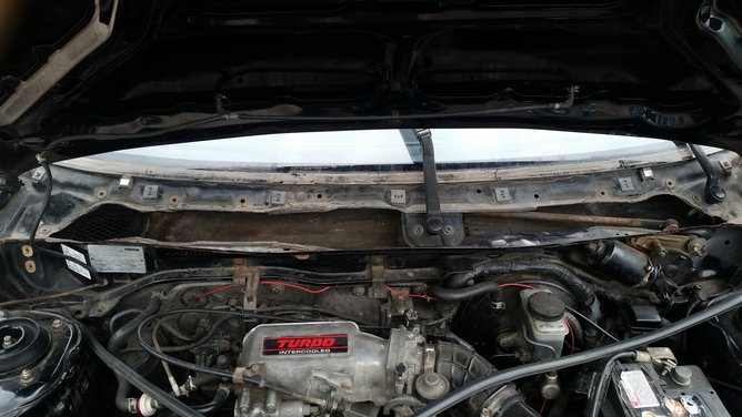 20160325_115547.jpg