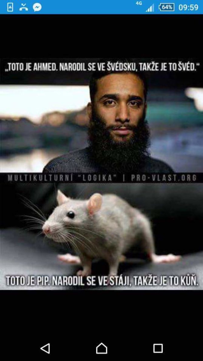 FB_IMG_1459542883902.jpg
