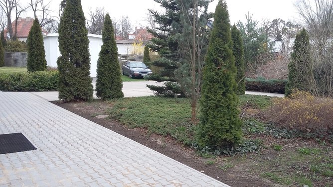 20160407_075419.jpg
