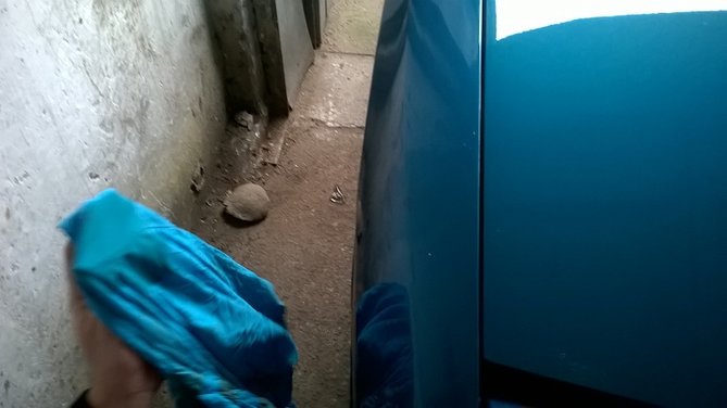 WP 5.jpg