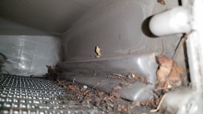 20160422_135820.jpg
