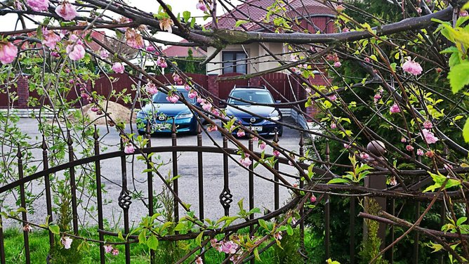 rps20160430_224414.jpg