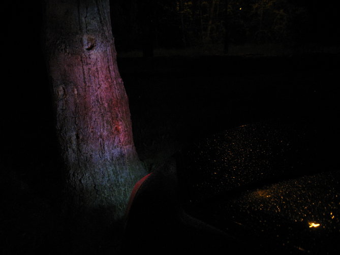 led8.jpg
