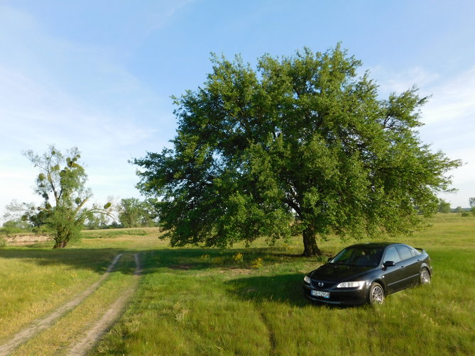 DSCN0668.JPG