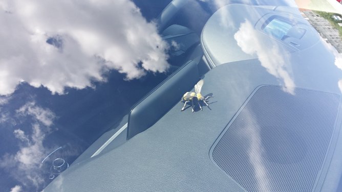 20160619_135035.jpg
