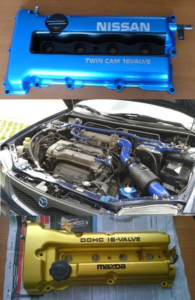 dolot6.jpg