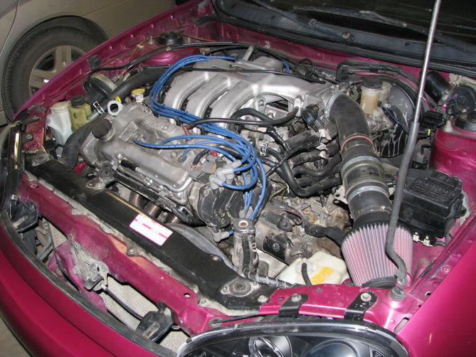 IMG_5865[1].jpg