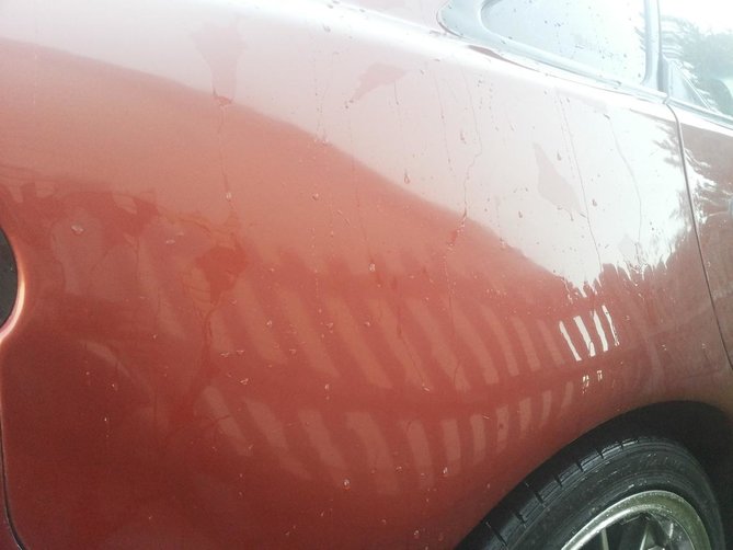 20160720_201848.jpg