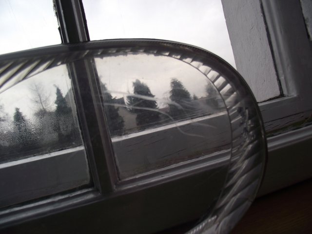 DSCF0232.JPG