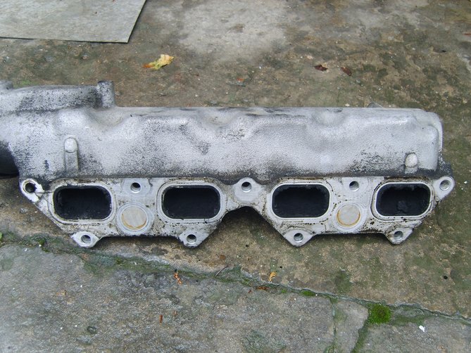 S8302920.JPG