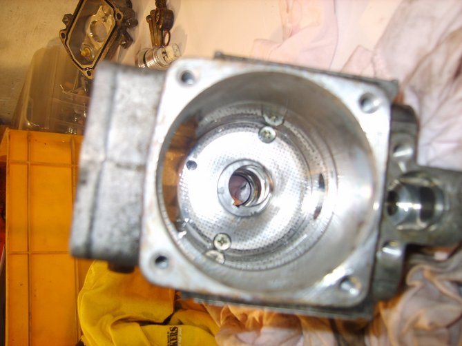 S8302930.JPG