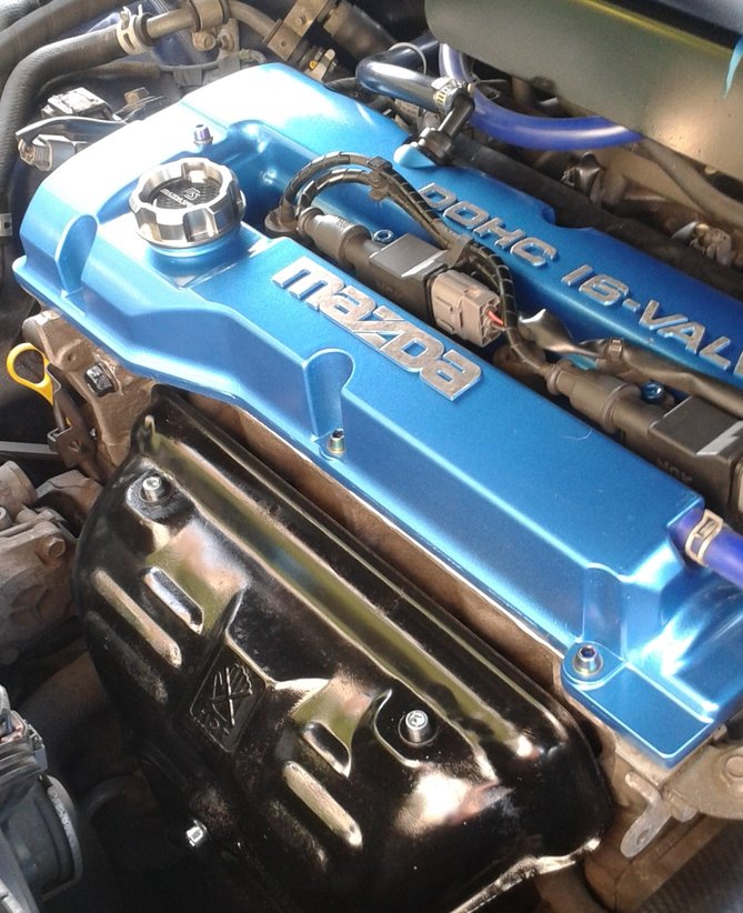 dolot11.jpg