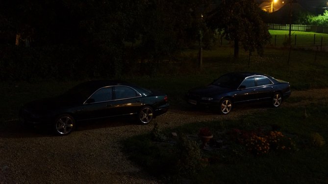 DSC08879.JPG
