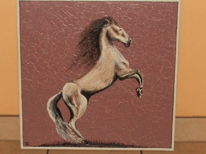 89.JPG