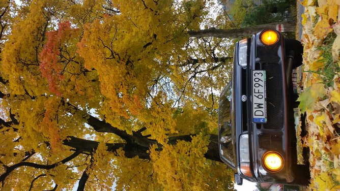 20161022_132805.jpg
