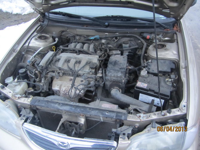 m5.JPG