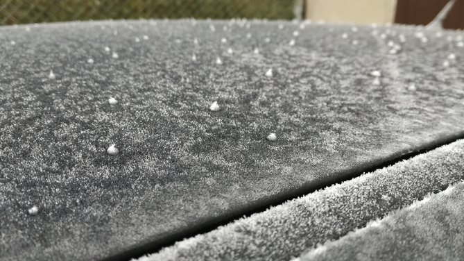 IMG_20161108_082142.jpg