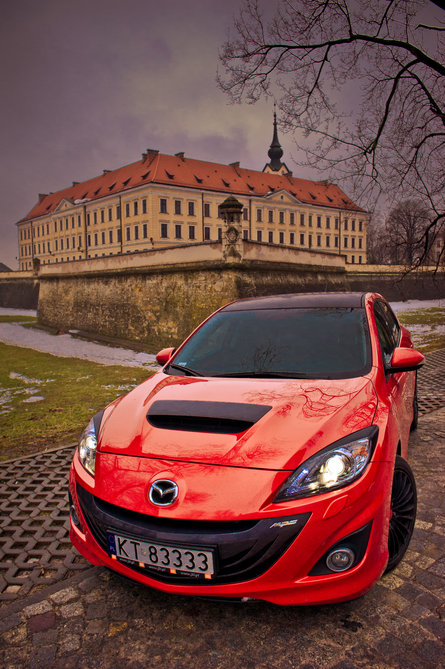 Viper_ - Zamek Lubomirskich w Rzeszowie.jpg