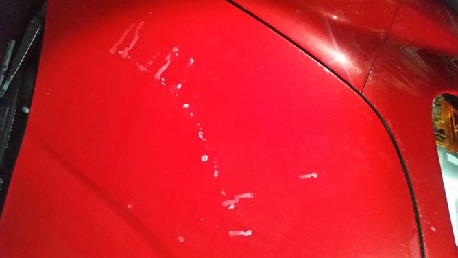 20161210_204949.jpg