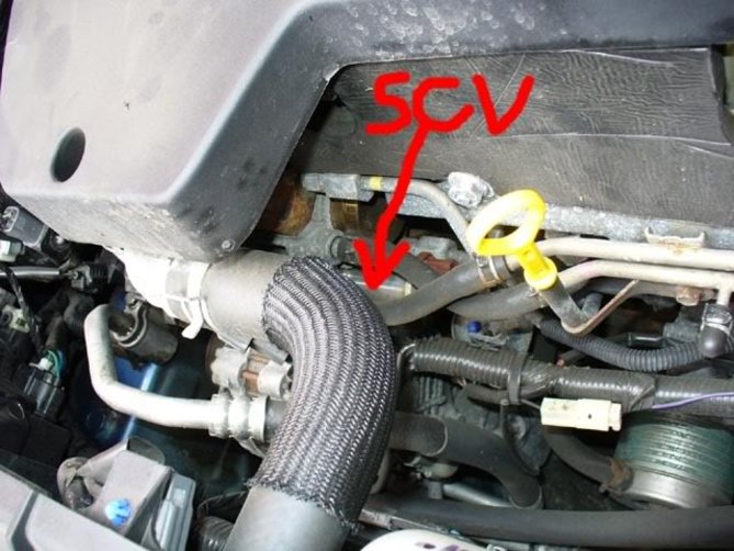 SCV.jpg