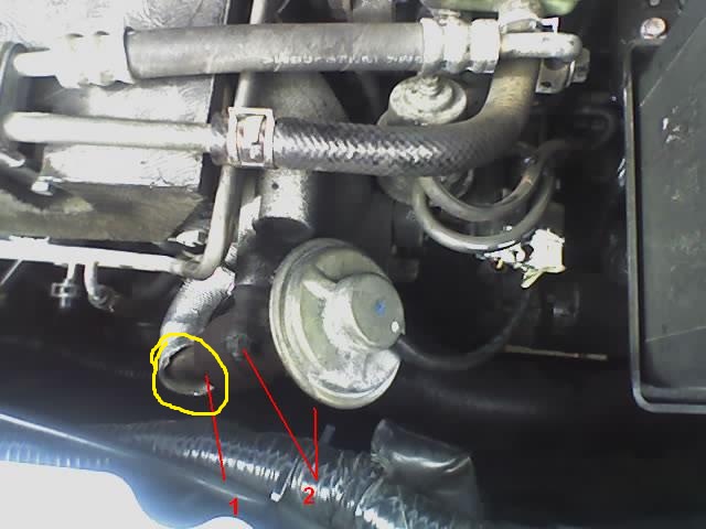 egr-1.jpg