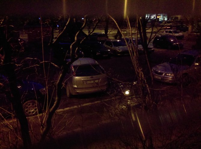 IMAG0305.jpg