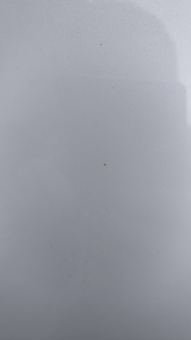 IMG_20170329_103038.jpg