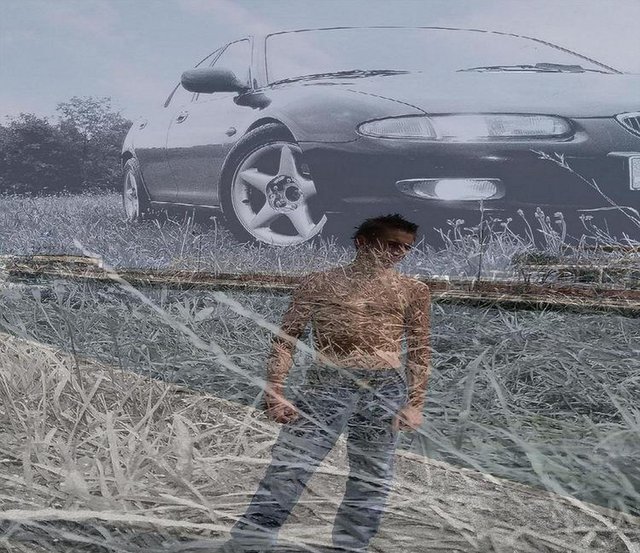 likus007.jpg