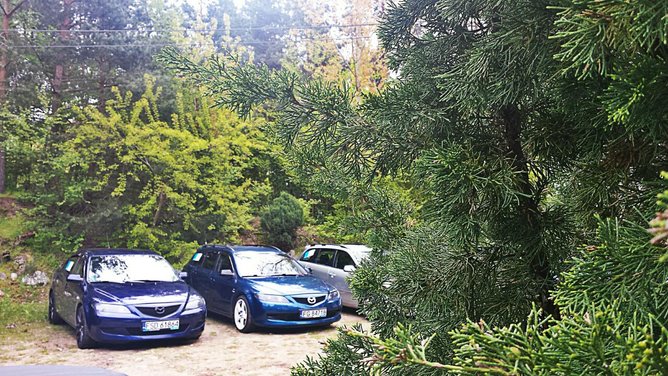 rps20170501_084627.jpg