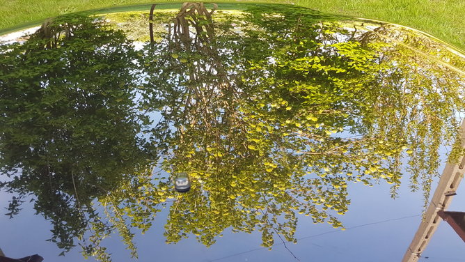 20170513_171900.jpg