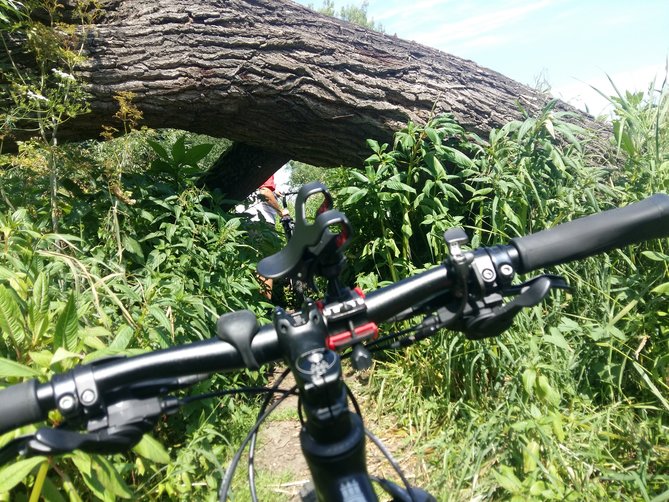 20170627_104151.jpg