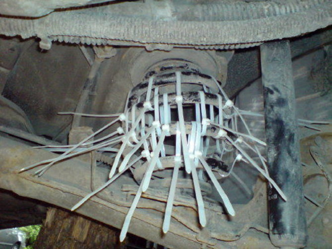 98859638628ef6e5.jpg