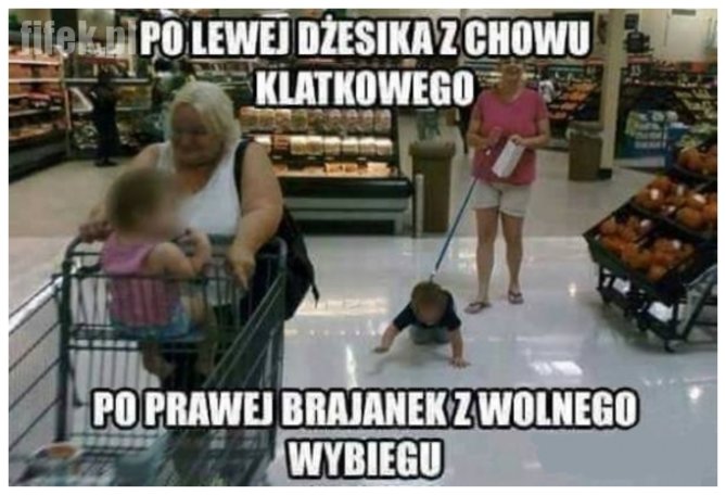 brajanek_z_wolnego_wybiegu_2017-06-12_21-57-48.jpg