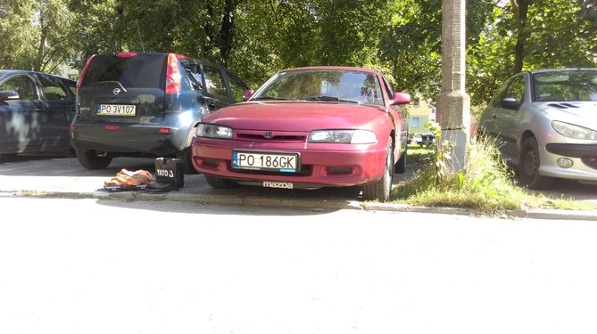 IMAG1223.jpg