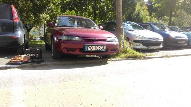 IMAG1224.jpg