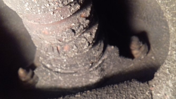 20171107_3.jpg