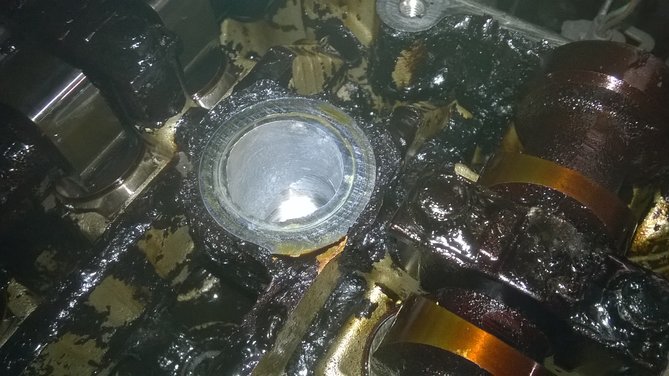 WP_20160120_007.jpg