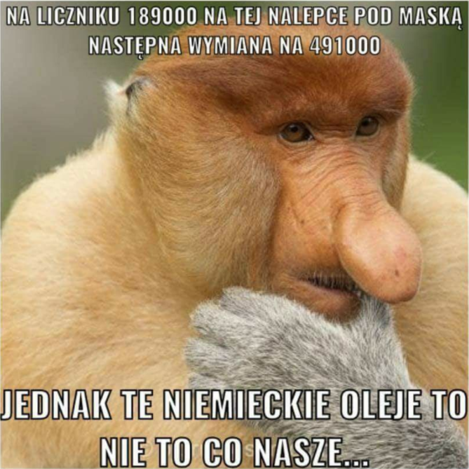 Zrzut ekranu 2017-12-31 11.19.19.png