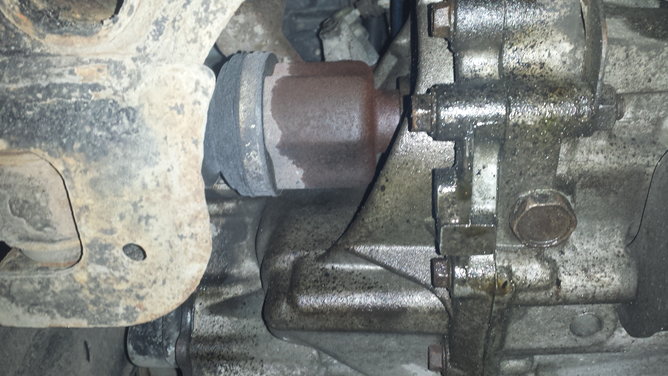20180201_102519.jpg