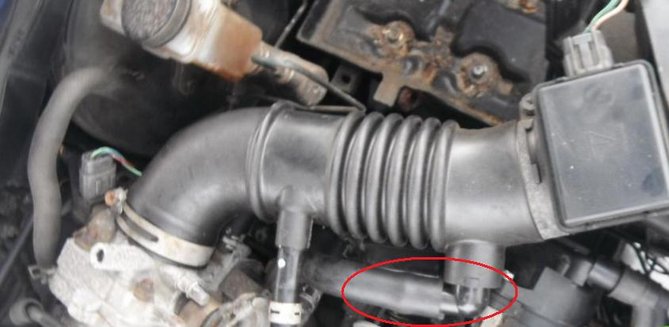 dolot mazda.jpg