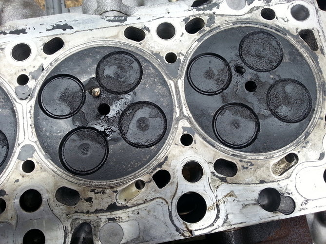 20130602_135824.jpg