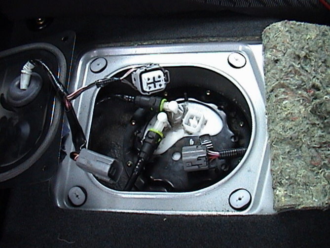Protege 030.jpg
