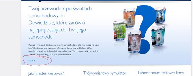 Bez tytułu.jpg