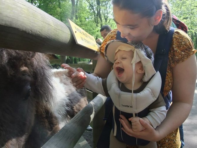zoo kraków.jpg