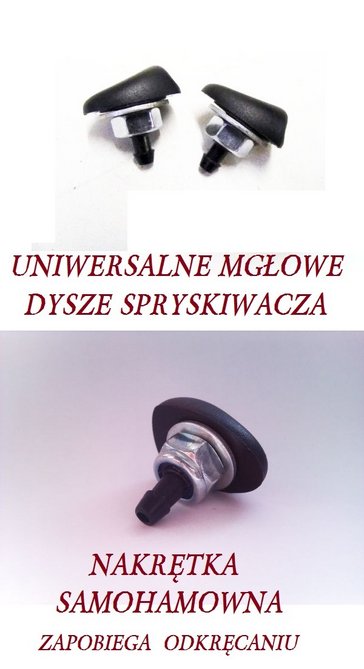 dysz.jpg