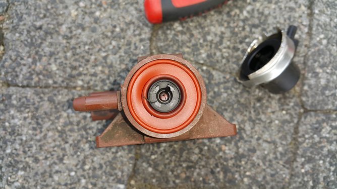 20180616_135526.jpg